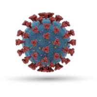virus virus